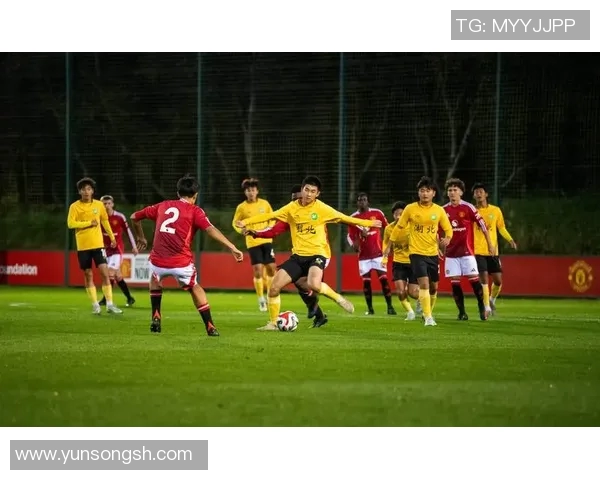 香港足球明星队草蜢球员的辉煌历程与未来展望