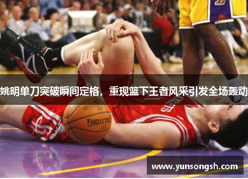 姚明单刀突破瞬间定格,重现篮下王者风采引发全场轰动 姚明单刀突破瞬间定格,重现篮下王者风采引发全场轰动
