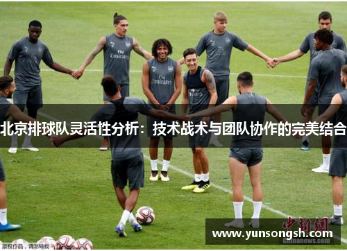 北京排球队灵活性分析：技术战术与团队协作的完美结合