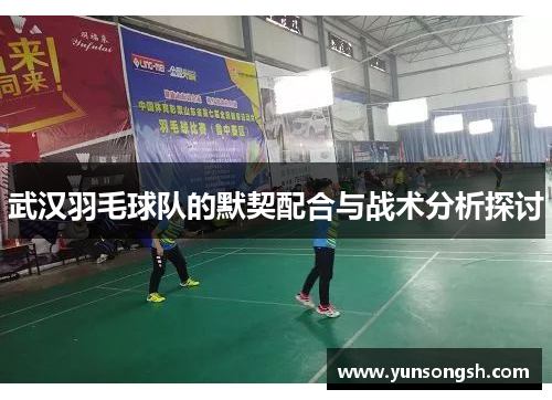 武汉羽毛球队的默契配合与战术分析探讨