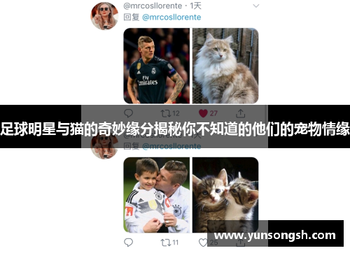 足球明星与猫的奇妙缘分揭秘你不知道的他们的宠物情缘