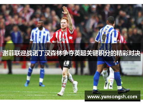 谢菲联迎战诺丁汉森林争夺英超关键积分的精彩对决