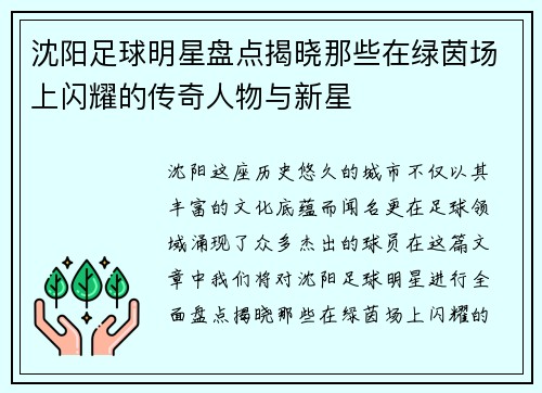 沈阳足球明星盘点揭晓那些在绿茵场上闪耀的传奇人物与新星